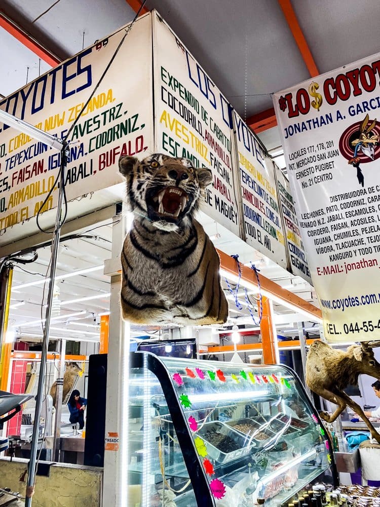 A stuffed tiger on the wall at the market.